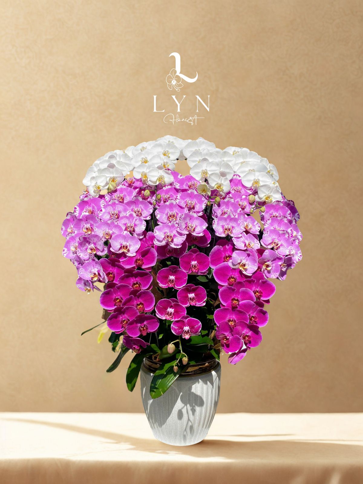 Chậu Hoa Lan Phối 4 màu